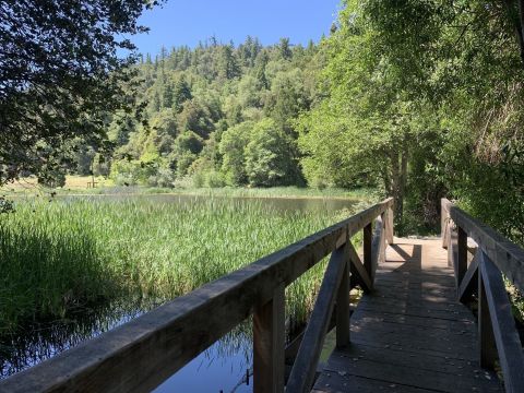 Hiking This Three-Mile Trail In Southern California, Scott's Cabin Trail, Will Lead You To A Wonderland Of Beauty