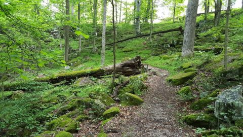 Take A Relaxing Stroll Through Mammoth Cave National Park And Discover A Dazzling View To Remember In Kentucky