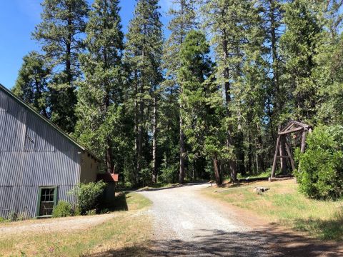 The Hardrock Trail Leads You Past Relics From The Gold Rush In Northern California