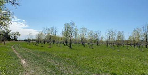 LaFramboise Island Nature Area Is One Of The Most Underrated Summer Destinations In South Dakota