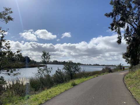 The Easy Lakeside Trail In Southern California, Lake Miramar Trail, That Will Lead You Through Absolute Perfection