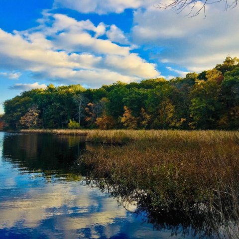 The Largest Freshwater Marsh In Massachusetts Can Be Found In The Breathtaking Cutler Park Reservation