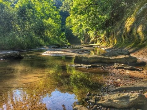 Follow A Forested Path To The Waterfront When You Visit Lost Lake In Iowa