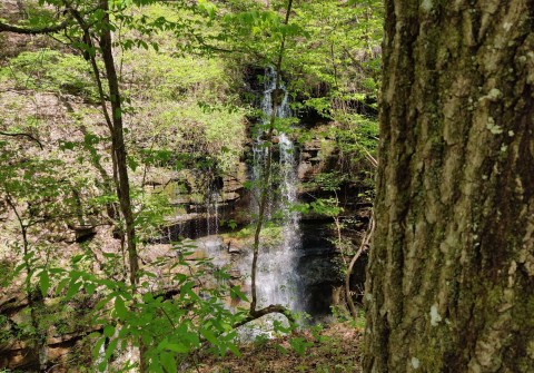 A Short But Beautiful Hike, Lost Sink Trail, Leads To A Little-Known Waterfall In Alabama