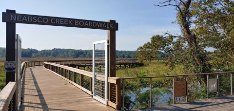 Hiking The Neabsco Creek Boardwalk Trail In Virginia Is Like Entering Another World