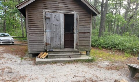 Stay In This Cozy Little Lakeside Cabin In New Jersey For Less Than $50 Per Night