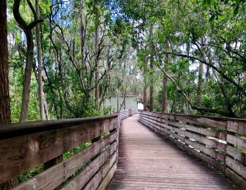 This Easy, 2.6-Mile Hike In Florida Will Lead You Straight To The Shores Of The Beautiful Hammond Lake