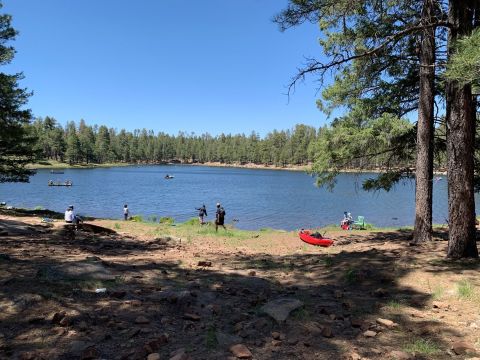 Nestled In Rim Country, Woods Canyon Lake Has Some Of The Clearest Water In Arizona