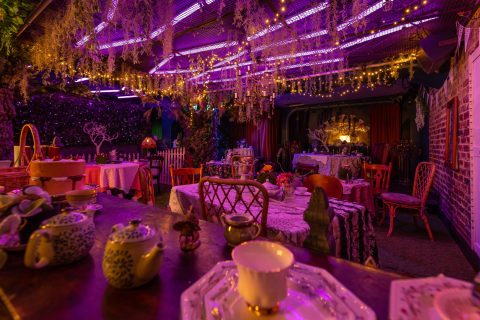 Climb Down The Rabbit Hole And Enjoy A Fully Immersive, Topsy-Turvy Alice in Wonderland Cocktail Hour In Colorado