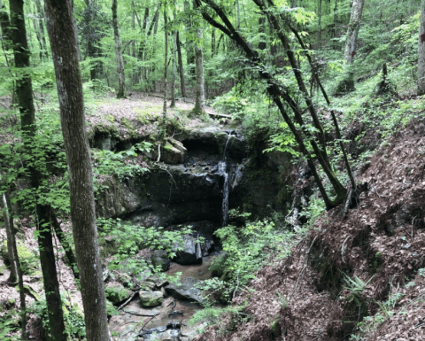 The Short And Sweet Rock Falls Trail Leads To The Tallest Waterfall In Louisiana