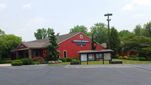 You Can Now Dig For Fossils At Montour Preserve In Pennsylvania