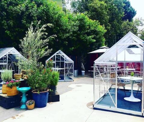 Dine Inside A Tiny Greenhouse At This Magical Outdoor Garden Restaurant, Lady Byrd Cafe, In Southern California