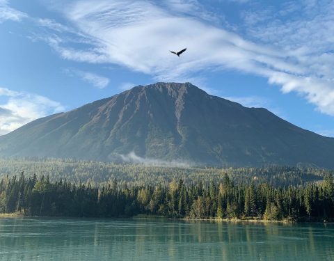 End This Summer Paddle Boarding The Bluest Glacier Lake In Alaska