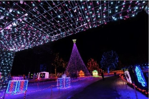 Wildwood Park And Zoo’s Beloved Rotary Winter Wonderland Will Be Returning To Wisconsin