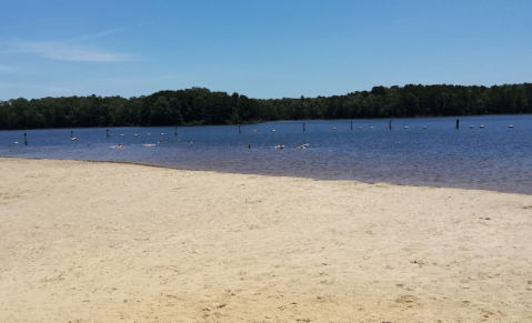 Wade In The Refreshing Waters On The Scenic Beach At Jimmie Davis State Park In Louisiana