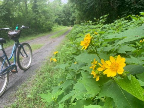 West Virginia's Mon River Trail System Named National Rail-Trail Hall Of Fame Pick For 2020