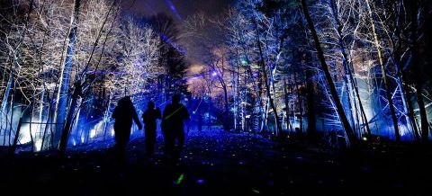 Crystal Bridges' Beloved North Forest Lights Will Be Returning To Arkansas