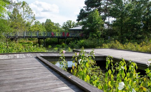 Adkins Arboretum In Maryland Is So Hidden, Most Locals Don't Even Know About It