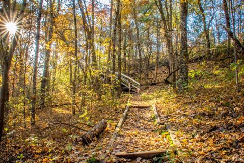 Beaver Creek Reserve In Wisconsin Is So Hidden Most Locals Don't Even Know About It