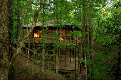 Stay Overnight At These Spectacularly Unconventional Treehouses In Mississippi