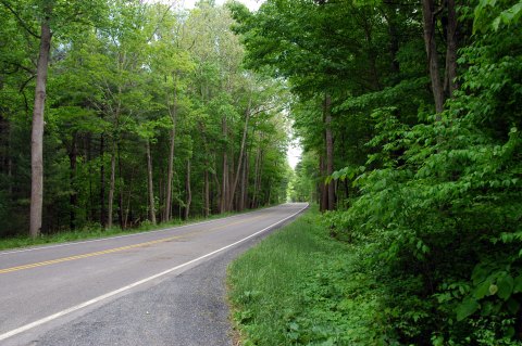 Drive Virginia's Wilderness Road For A Perfect Day Exploring Natural Wonders, Small Towns, And Breweries