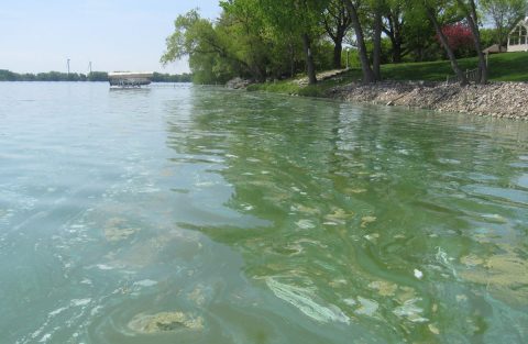 How Algae Blooms On New Jersey's Lake Hopatcong Will Affect Your Summer Plans