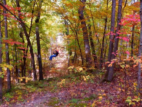 One Of The Longest In Missouri, The Treetop Canopy Tour At Eco Adventure Ziplines Offers More Than One-Mile Of Thrills