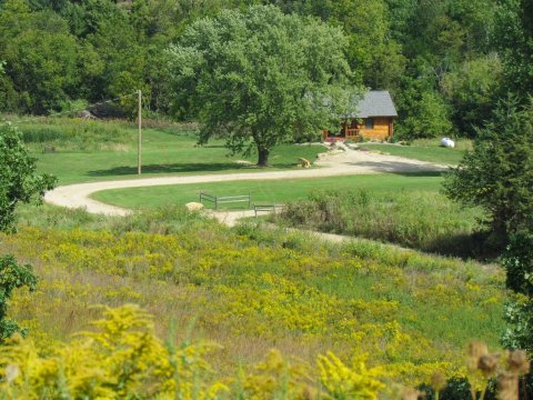 The Quiet, Tucked Away Cottages Of Lorelei Cabins Make For A Perfectly Peaceful Getaway