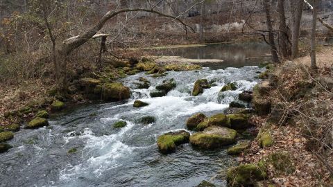 Alley Spring Overlook Trail Is A Beginner-Friendly Waterfall Trail In Missouri That's Great For A Family Hike