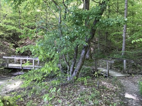 Cross 47 Bridges Along The Scenic Gorley Naturalist Trail In Kentucky