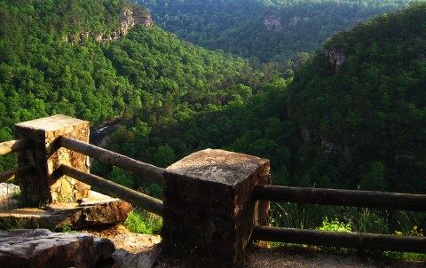 Experience A Spectacular Canyon View From Crow Point Overlook In Alabama