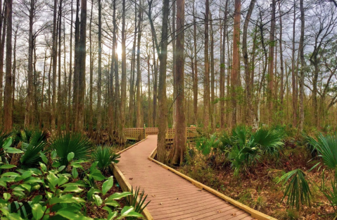 You'll Be Hooked After A Day Spent Exploring These 6 Hidden Trails In Louisiana