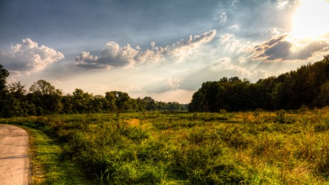 Peeler Park In Nashville Is So Hidden Most Locals Don't Even Know About It