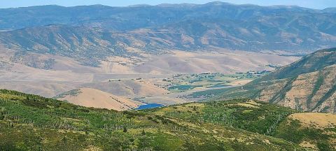 Horse Flat Trail Is A Gorgeous Forest Trail In Utah That Will Take You To A Hidden Overlook