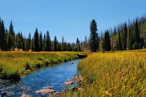 You'll Forget You're In Arizona On Thompson Trail, An Easy Hike That Leads Through An Enchanted Forest