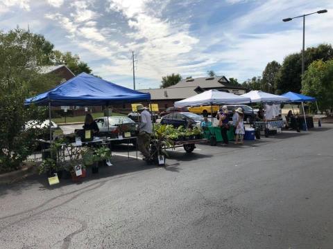 A Visit To The Drive-Thru Farmers Market In Kentucky Will Be Sure To Make Your Day