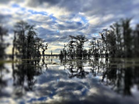 The Serenity Of Lake Martin In Louisiana Is Ideal For A Fall Day