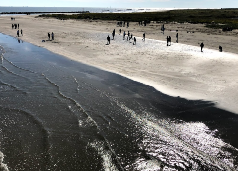 Sink Your Toes In The Sand At Grand Isle, One Of The Most Pristine And Beautiful Beaches Near New Orleans