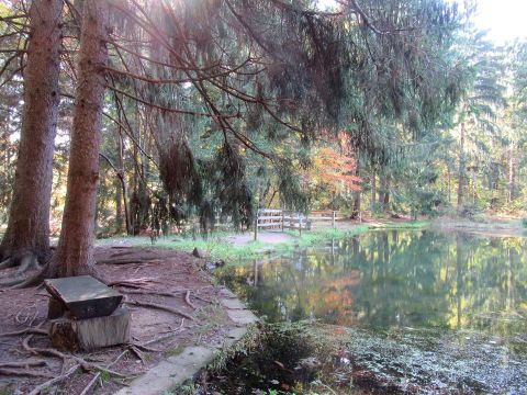 Sahli Nature Park Near Pittsburgh Is So Hidden Most Locals Don't Even Know About It