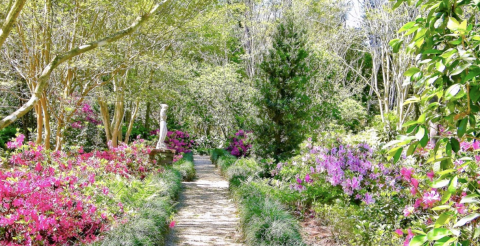 Surround Yourself With Endless Color At The Burden Museum & Gardens In Louisiana