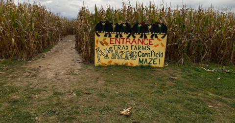 Welcome Autumn With A Visit To Trax Farms Harvest Days Near Pittsburgh