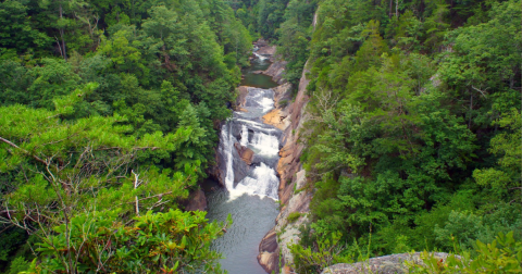 Take A Ride Down A Waterfall Sliding Board In Tallulah Gorge In Georgia