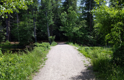 The Exeter River Trail In New Hampshire Has Plentiful Peace And Lovely Water Views