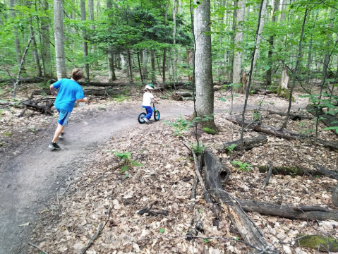 Breathe The Fresh Woodland Air When You Hike At Boyne School Forest Trail In Michigan