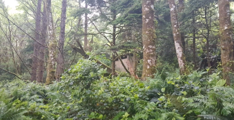 This Eerie And Fantastic Footage Takes You Inside Oregon's Abandoned WWII Radar Station