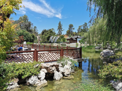 Some People Call This Garden In Southern California, The Huntington, A Little Slice Of Paradise