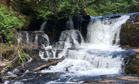 Alsea Falls Recreation Site Is One Of The Most Underrated Summer Destinations In Oregon