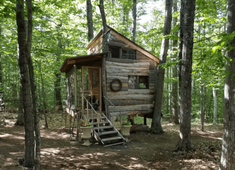 Live Out Your Childhood Dreams With A Stay At This Hobbit-Like Treehouse In New Hampshire