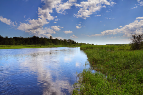 Get Away From The Crowds With A Visit To Schoolcraft State Park, One Of Minnesota's Least Visited State Parks