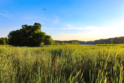 Here Are The 9 Most Incredible Natural Wonders Hiding Around Detroit